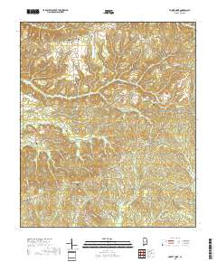Forest Home 2018 topographic map thumbnail