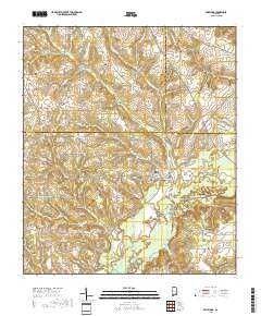 Bellwood 2018 topographic map thumbnail