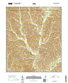 Bluff Springs 2018 topographic map thumbnail