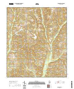 Brundidge NW 2018 topographic map thumbnail