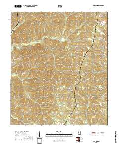 Burnt Corn 2018 topographic map thumbnail