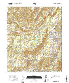Jacksonville West 2018 topographic map thumbnail
