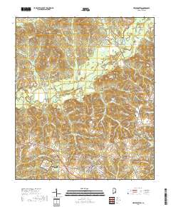 New Brockton 2018 topographic map thumbnail