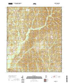 Palmetto 2018 topographic map thumbnail