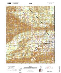 Sylacauga West 2018 topographic map thumbnail