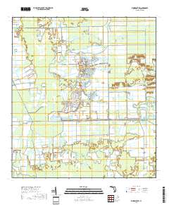 Immokalee SW 2018 topographic map thumbnail