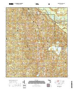 Lake Delancy 2018 topographic map thumbnail