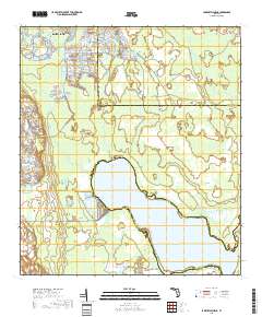 Lake Hatchineha 2018 topographic map thumbnail