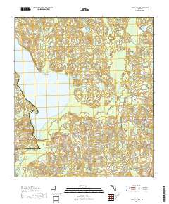Lake Miccosukee 2018 topographic map thumbnail