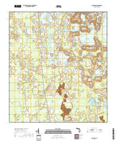 Lake Nellie 2018 topographic map thumbnail