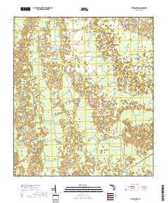 Chiefland SW 2018 topographic map thumbnail