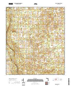 Dowling Park 2018 topographic map thumbnail