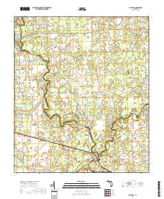 Ellaville 2018 topographic map thumbnail