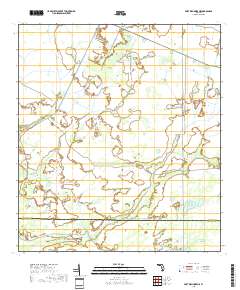 Fort Kissimmee NE 2018 topographic map thumbnail