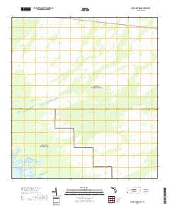 Gator Hook Swamp 2018 topographic map thumbnail