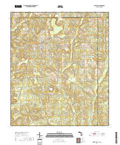 Laurel Hill 2018 topographic map thumbnail