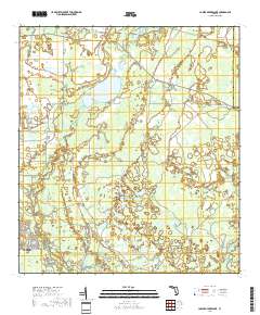 Lower Myakka Lake 2018 topographic map thumbnail