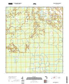 Mallory Swamp NE 2018 topographic map thumbnail
