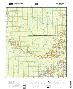 Mallory Swamp SE 2018 topographic map thumbnail