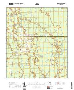 Mallory Swamp SW 2018 topographic map thumbnail