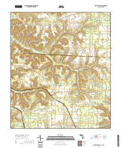 Mount Pleasant 2018 topographic map thumbnail