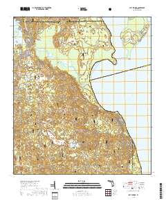 Salt Springs 2018 topographic map thumbnail