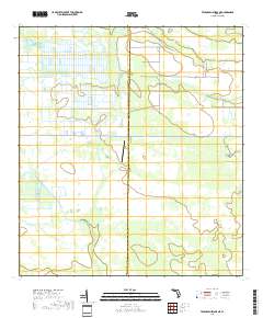 Telegraph Swamp NE 2018 topographic map thumbnail