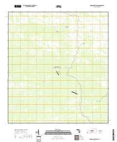 Thompson Pine Island 2018 topographic map thumbnail