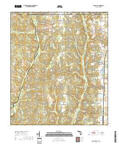 Walnut Hill 2018 topographic map thumbnail