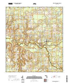 Worthington Springs 2018 topographic map thumbnail
