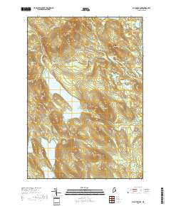 Alligator Lake 2018 topographic map thumbnail
