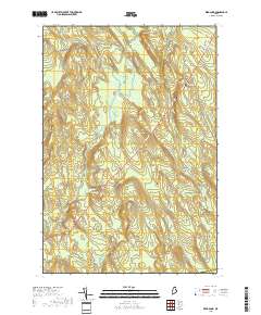 Reed Pond 2018 topographic map thumbnail