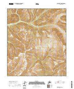 Big Delta A-1 NE 2018 topographic map thumbnail