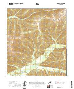 Big Delta A-1 SW 2018 topographic map thumbnail