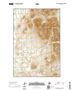 Hagemeister Island D-4 NE topographic map thumbnail