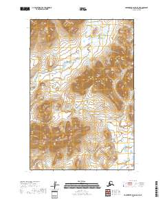 Hagemeister Island D-5 NE topographic map thumbnail