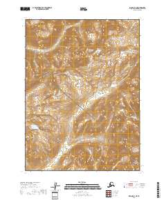 Iliamna D-2 NE topographic map thumbnail