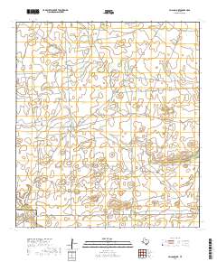Paisano Lake 2019 topographic map thumbnail