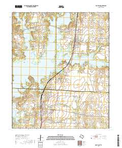 Pilot Point 2019 topographic map thumbnail