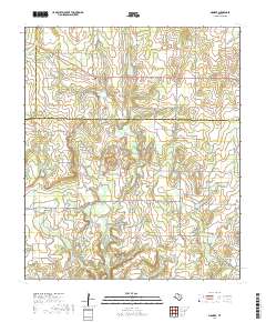 Pioneer 2019 topographic map thumbnail