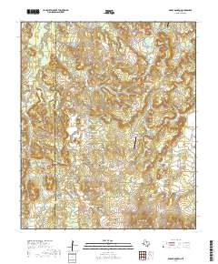 Reddy Mountain 2019 topographic map thumbnail