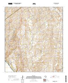 Salineno 2019 topographic map thumbnail