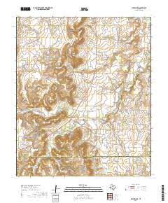 Snyder Lake 2019 topographic map thumbnail