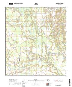 Caiman Creek NE 2019 topographic map thumbnail