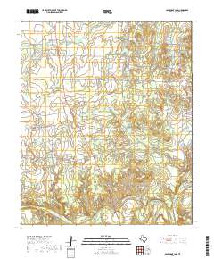 Aspermont Lake 2019 topographic map thumbnail
