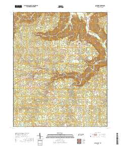 Altamont 2019 topographic map thumbnail