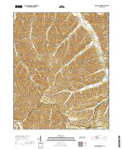 Beaverdam Springs 2019 topographic map thumbnail