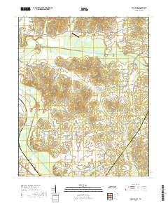 Beech Bluff 2019 topographic map thumbnail