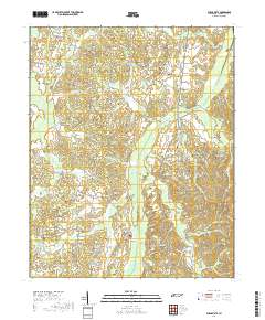 Buena Vista 2019 topographic map thumbnail
