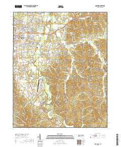 Savannah 2019 topographic map thumbnail